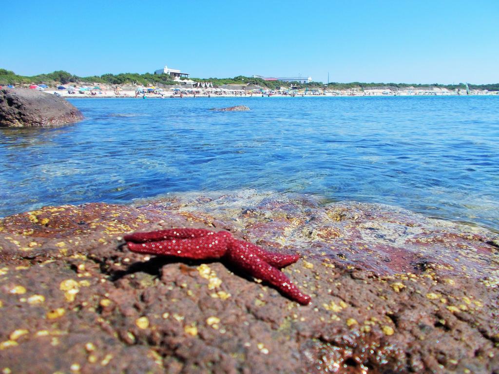 Pineta Spiaggia Grande Calasetta Exteriör bild