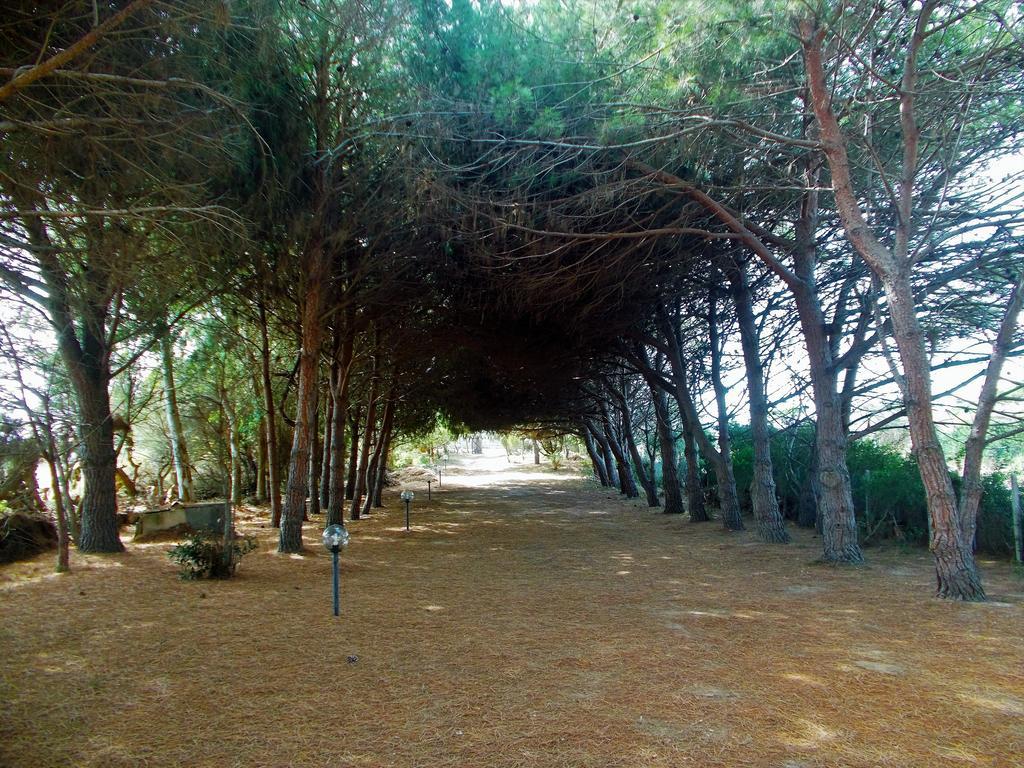 Pineta Spiaggia Grande Calasetta Exteriör bild